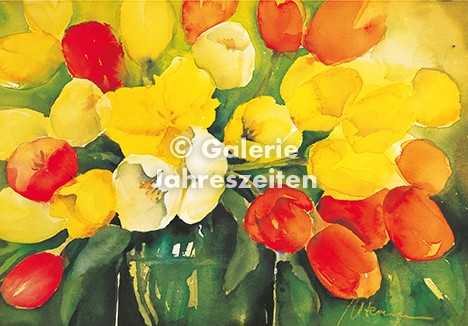 Tulpen gelb und orange